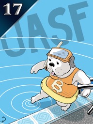 Curio Card 17 UASF