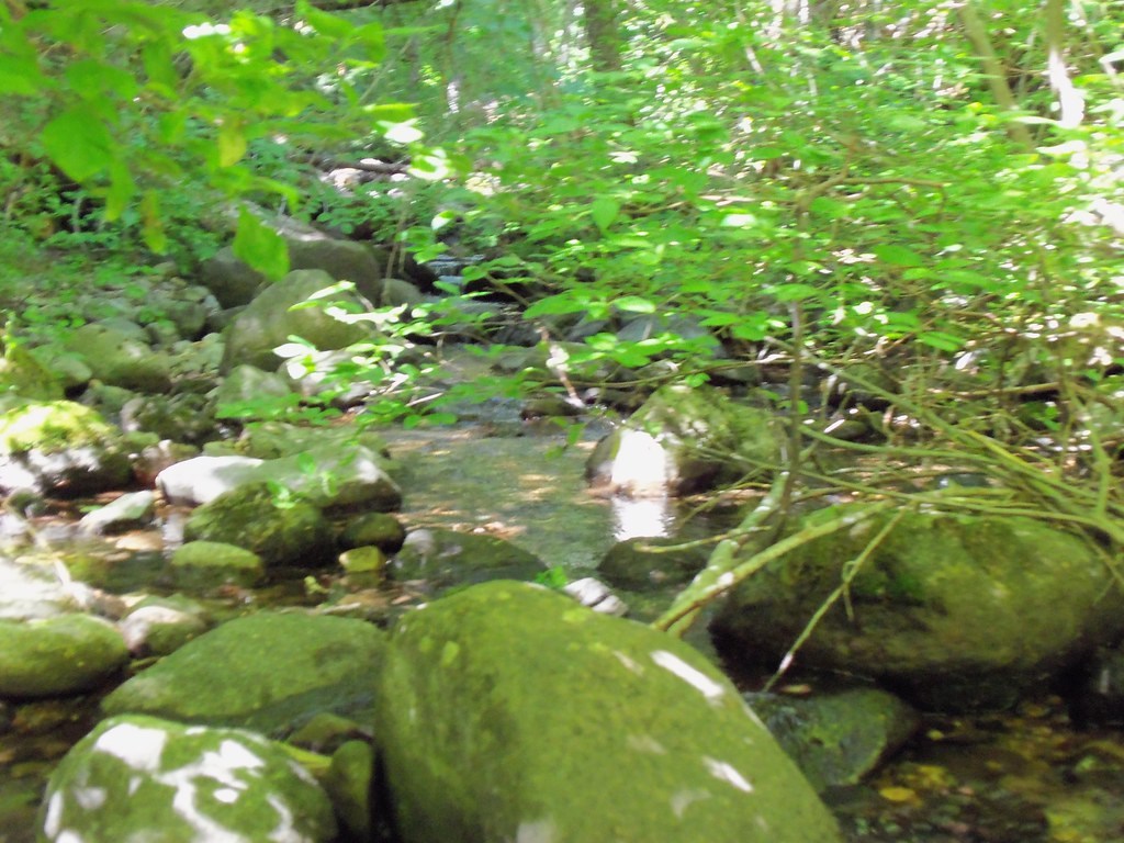 Rounded moss-covered rocks beside a shallow woodland stream.